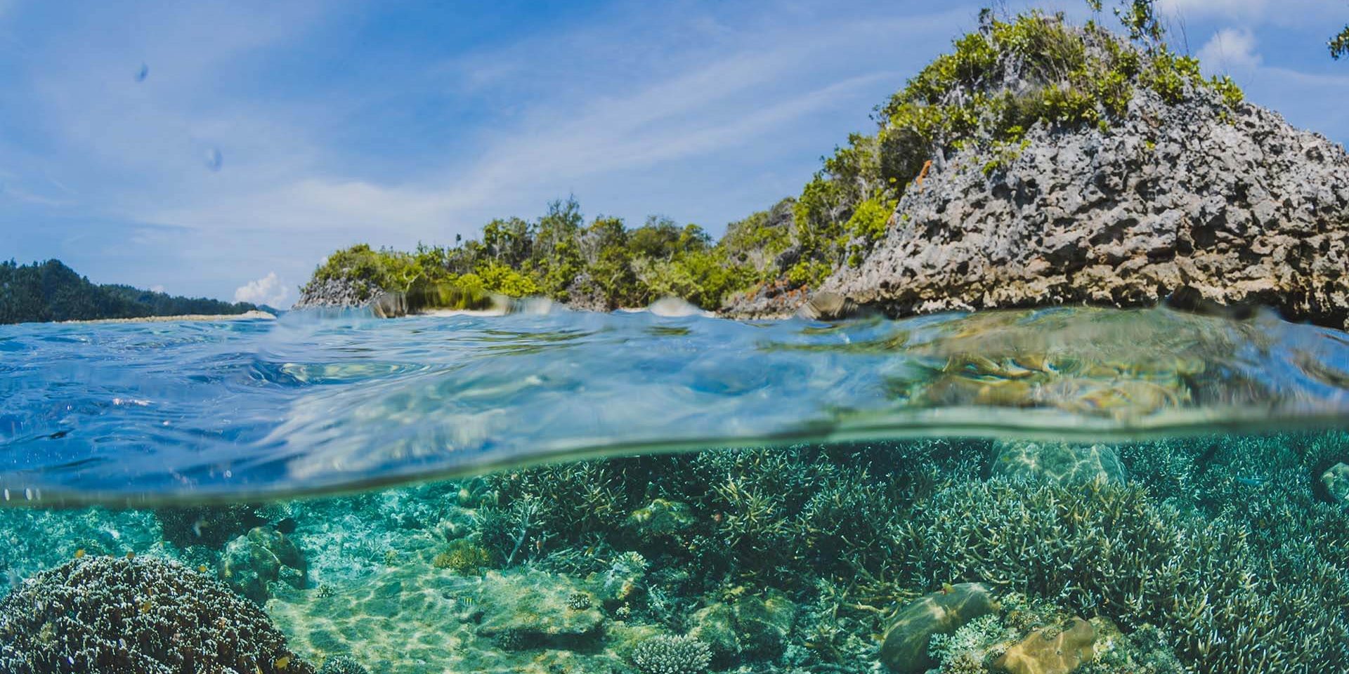 coral-reefs-below-the-surface-of-an-island